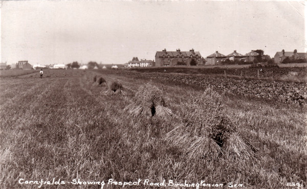 Prospect Road from the Cornfields